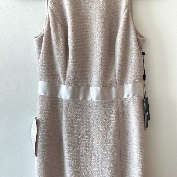 BHLDN Adrianna Papell Idris Dress in Champagne - Picture 10 of 16